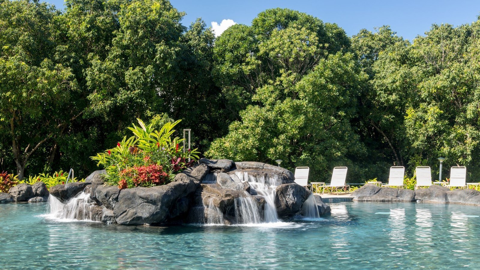 Conception d'une piscine naturelle avec cascades et mur d'eau au maroc
